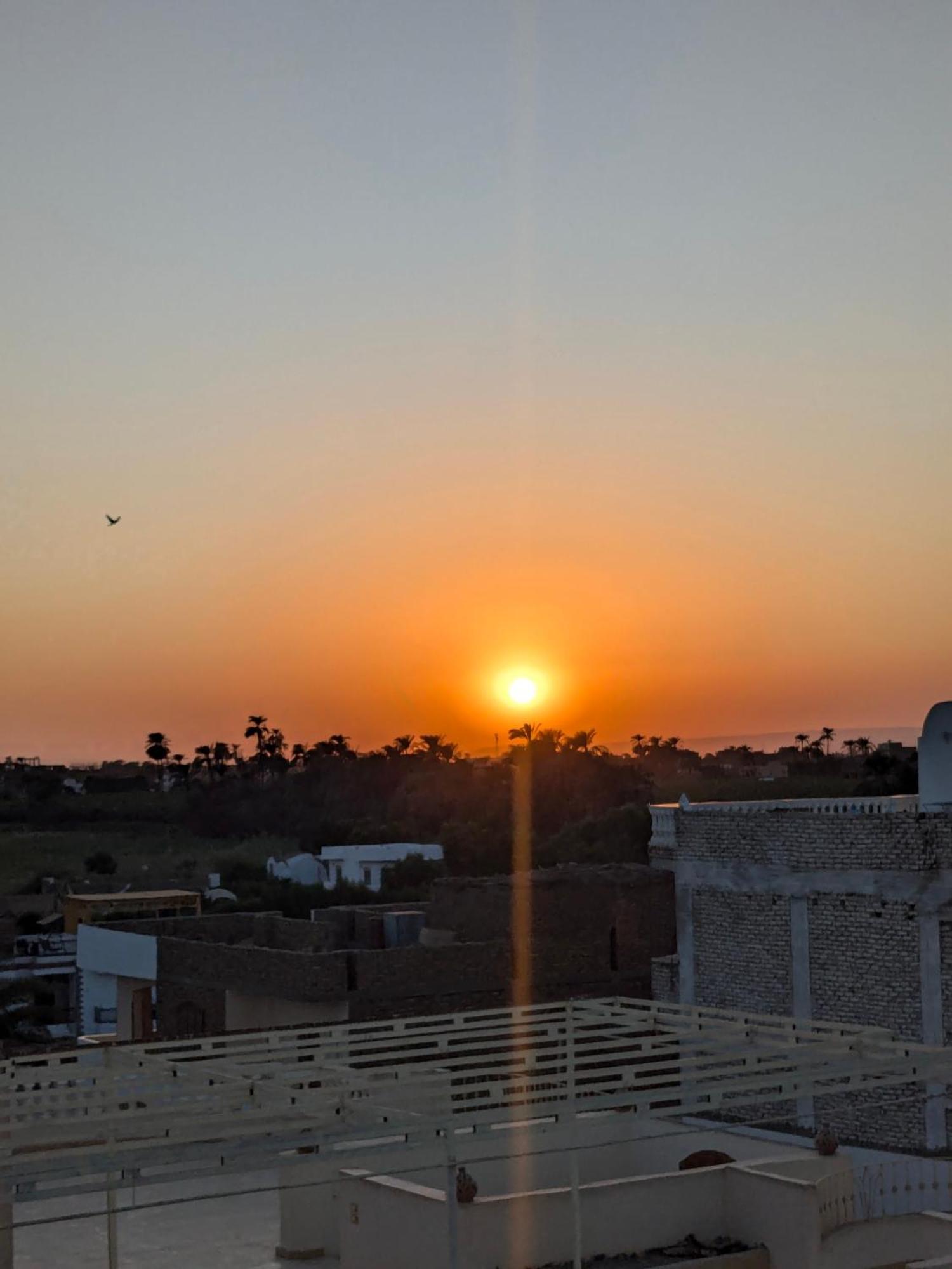 Al Ramla Guest House الأقصر المظهر الخارجي الصورة